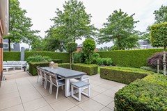 De Koppel Paarden 2-24.jpg
