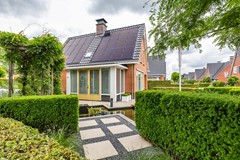 De Koppel Paarden 2-2.jpg