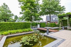 De Koppel Paarden 2-13.jpg
