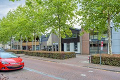 deDam549351ANLeekNL-24.jpg