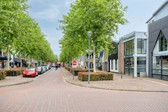 deDam549351ANLeekNL-27.jpg
