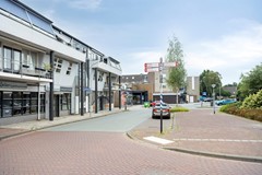 deDam549351ANLeekNL-28.jpg