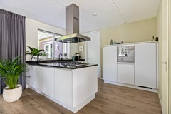 De Koppel Paarden 4-18.jpg