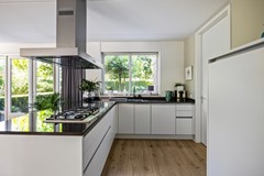 De Koppel Paarden 4-19.jpg