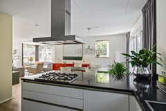 De Koppel Paarden 4-20.jpg
