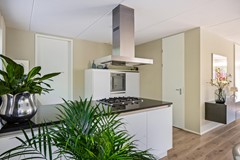 De Koppel Paarden 4-22.jpg