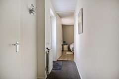 De Koppel Paarden 4-23.jpg