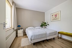 De Koppel Paarden 4-24.jpg
