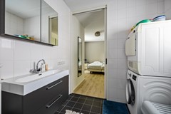 De Koppel Paarden 4-29.jpg