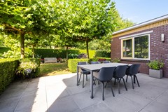 De Koppel Paarden 4-35.jpg
