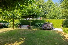 De Koppel Paarden 4-37.jpg