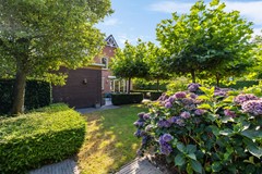 De Koppel Paarden 4-38.jpg