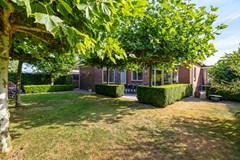 De Koppel Paarden 4-40.jpg