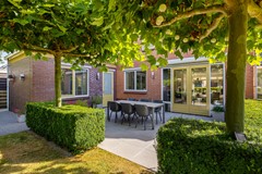 De Koppel Paarden 4-41.jpg