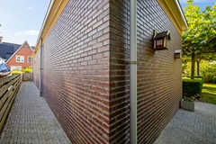 De Koppel Paarden 4-42.jpg