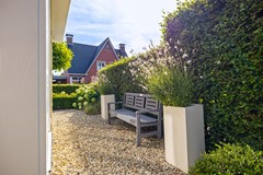 De Koppel Paarden 4-43.jpg