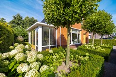 De Koppel Paarden 4-45.jpg