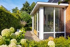 De Koppel Paarden 4-46.jpg