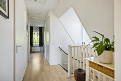 De Koppel Paarden 4-47.jpg