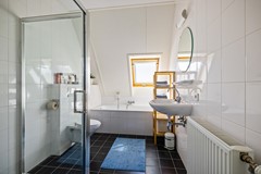 De Koppel Paarden 4-57.jpg