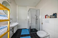 De Koppel Paarden 4-59.jpg