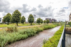 Drewerd 21-41.jpg