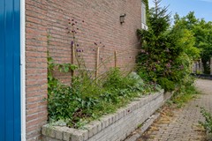 Mudaheerd 2-05.jpg