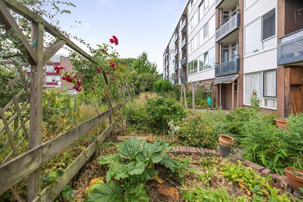 Te koop: Wielingenstraat 31, 7417CP Deventer