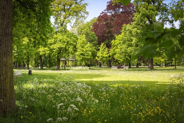 Medium property photo - Worp 25, 7419 AB Deventer