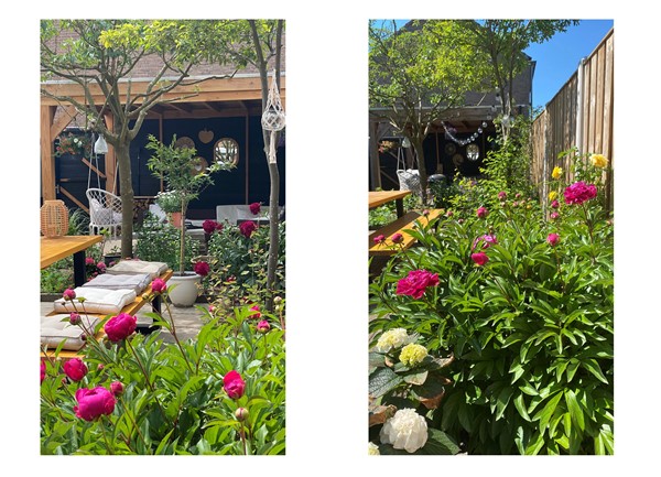 Medium property photo - Pieter de Hooghstraat 71, 7412 RW Deventer