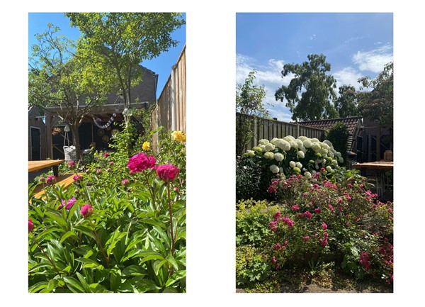 Medium property photo - Pieter de Hooghstraat 71, 7412 RW Deventer