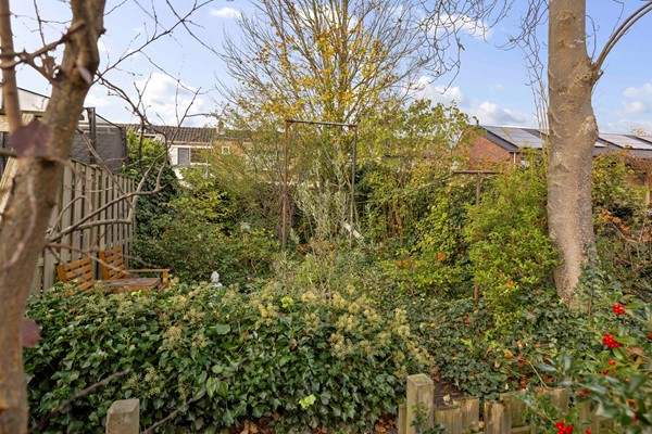 Medium property photo - Hoge Hondstraat 29, 7413 CC Deventer