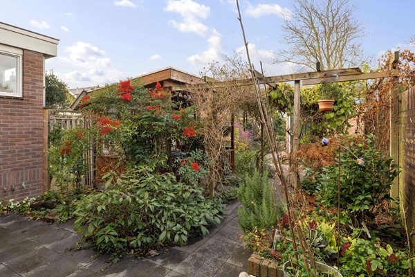 Medium property photo - Hoge Hondstraat 29, 7413 CC Deventer