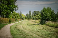76.jpg