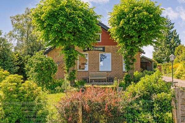 Foto-4.jpg
