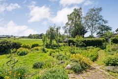 Foto-66.jpg
