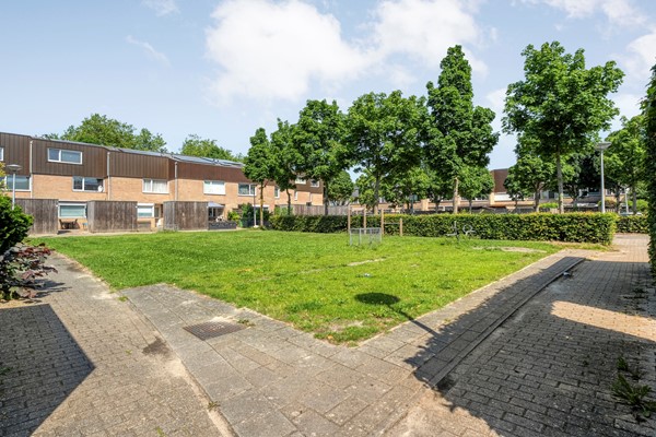 Foto_43.jpg