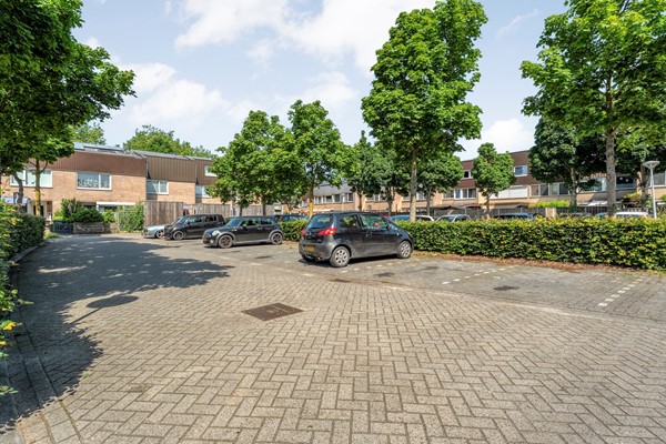 Foto_44.jpg