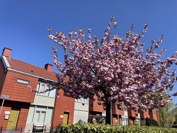Medium property photo - Klispad 10, 6841 GW Arnhem