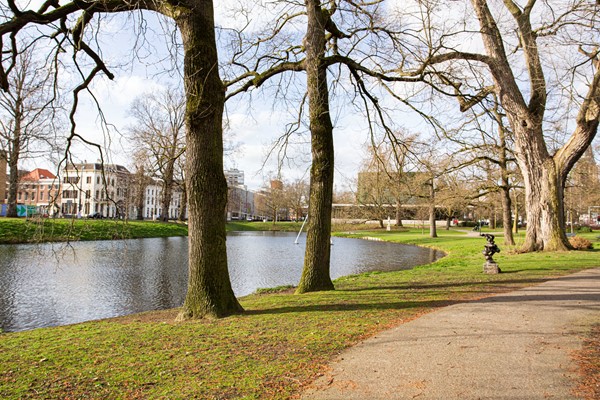 Medium property photo - Singelstraat 21, 6828 JN Arnhem