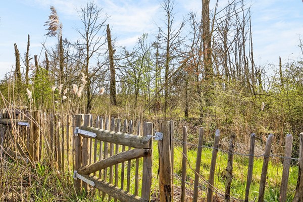 Medium property photo - Afsluitdijk 5, 6846 TH Arnhem