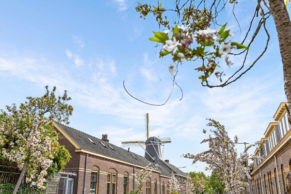 Medium property photo - Onder de Linden 53E, 6822 KH Arnhem