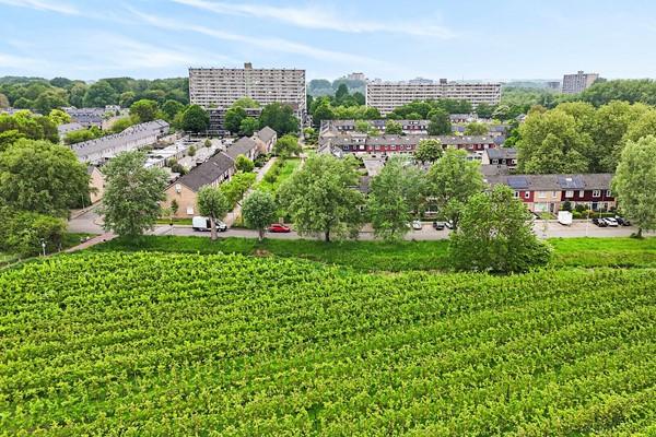 Medium property photo - Hofsingel 54, 6834 GL Arnhem