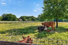 Verkocht onder voorbehoud: Laan van Presikhaaf 20-2, 6826 CG Arnhem