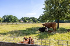 Verkocht onder voorbehoud: Laan van Presikhaaf 22-5, 6826 CG Arnhem