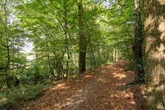 Nieuw in verkoop: Paasberglaan 39, 6824 PW Arnhem