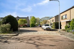 59.jpg