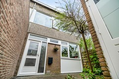 61.jpg