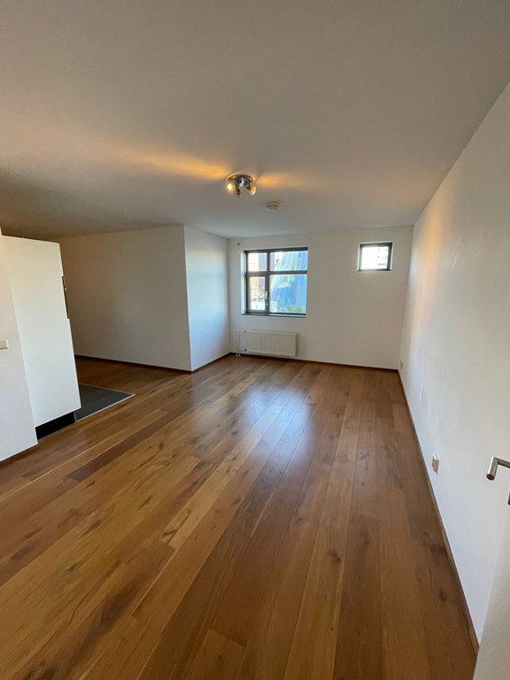 2ed560d7-a7fa-4daa-a717-42cbabedd4c8.jpeg 2ed560d7-a7fa-4daa-a717-42cbabedd4c8.jpeg