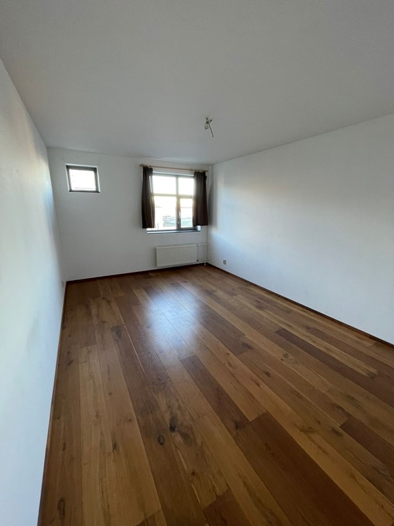 576b9f7d-89aa-4470-938f-35505f560712.jpeg 576b9f7d-89aa-4470-938f-35505f560712.jpeg